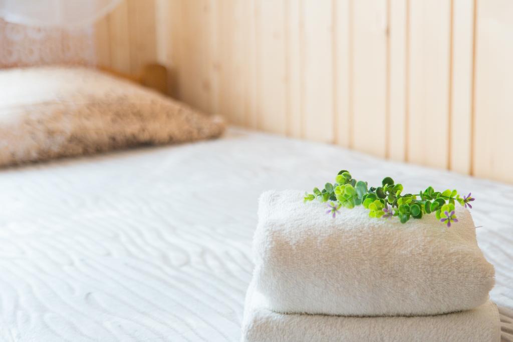 Szarotka Apartment Bukowina Tatrzanska Luaran gambar